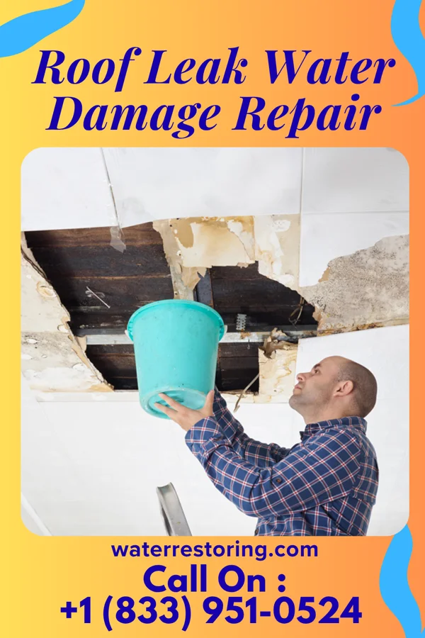 Roof Leak Water Damage Repair in Tryon, NC