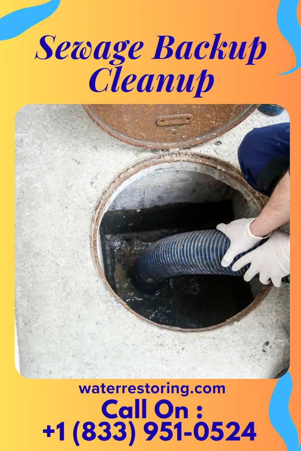 Sewage Backup Cleanup in Tryon, NC